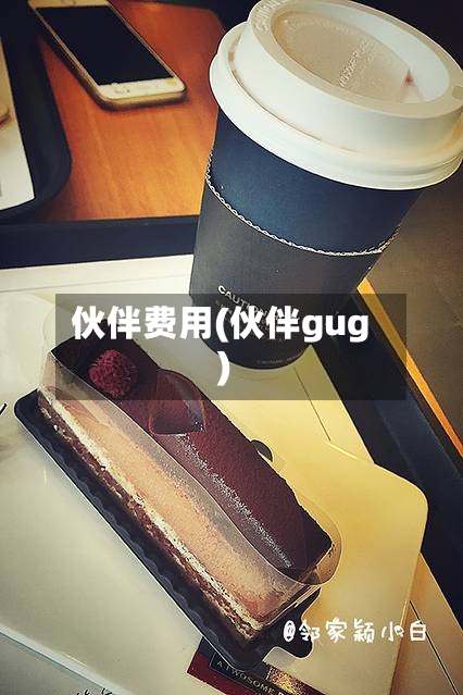 伙伴费用(伙伴gug)-第2张图片