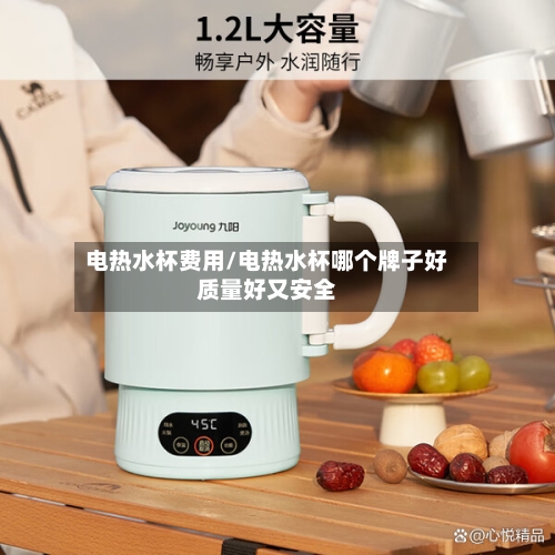 电热水杯费用/电热水杯哪个牌子好质量好又安全-第3张图片