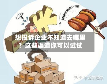 想投诉企业不知道去哪里?这些渠道你可以试试-第2张图片