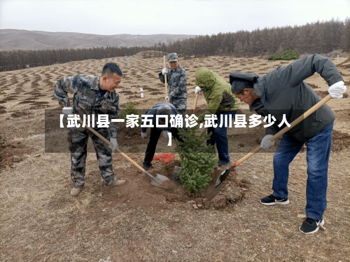 【武川县一家五口确诊,武川县多少人】-第2张图片