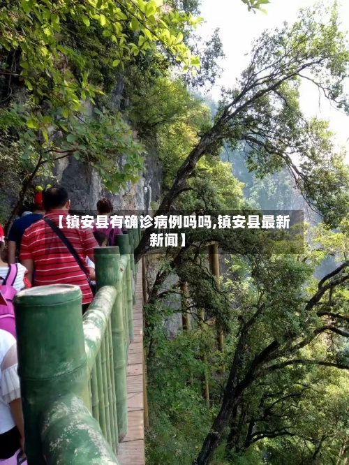 【镇安县有确诊病例吗吗,镇安县最新新闻】
