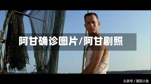 阿甘确诊图片/阿甘剧照