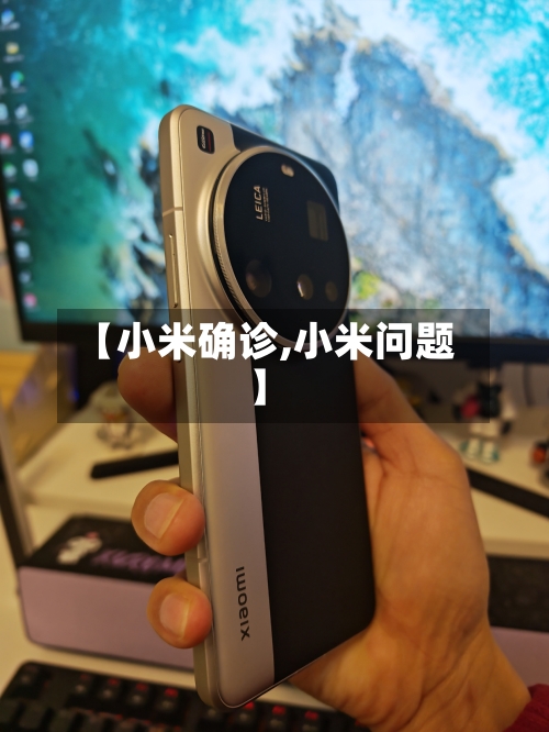 【小米确诊,小米问题】-第3张图片