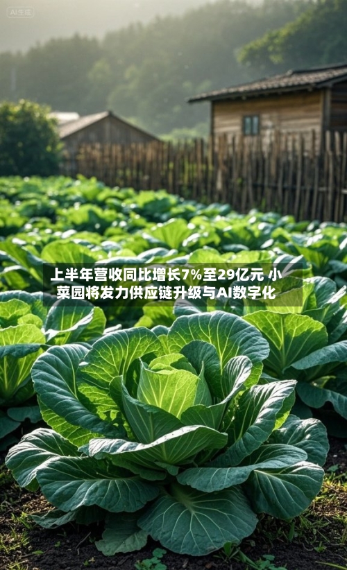 上半年营收同比增长7%至29亿元 小菜园将发力供应链升级与AI数字化-第2张图片