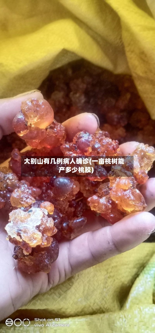 大别山有几例病人确诊(一亩桃树能产多少桃胶)