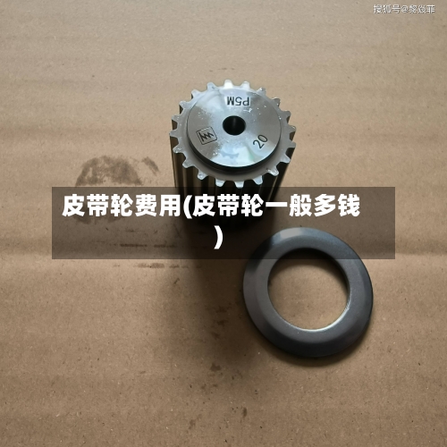 皮带轮费用(皮带轮一般多钱)