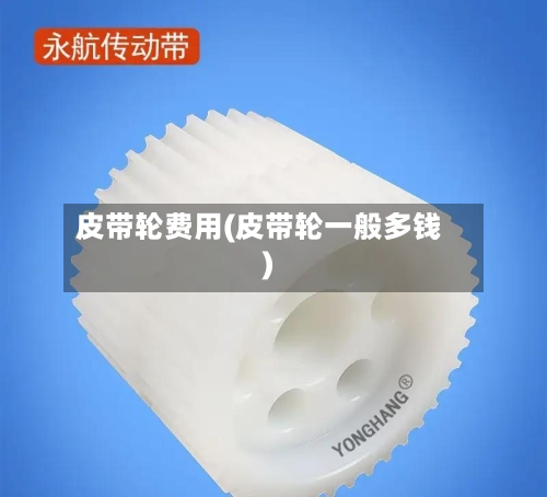 皮带轮费用(皮带轮一般多钱)-第2张图片