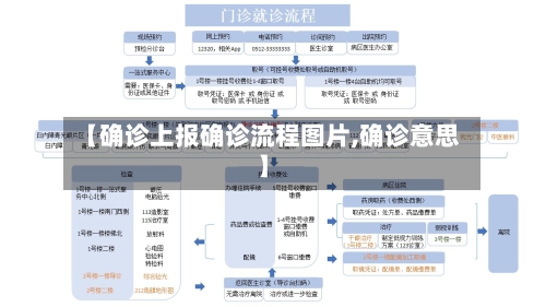 【确诊上报确诊流程图片,确诊意思】
