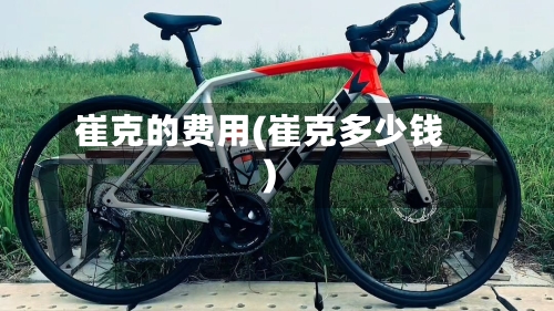 崔克的费用(崔克多少钱)-第2张图片