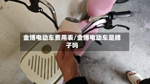 金博电动车费用表/金博电动车是牌子吗-第2张图片