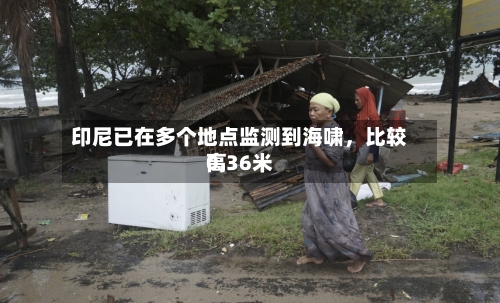 印尼已在多个地点监测到海啸，比较高0.36米