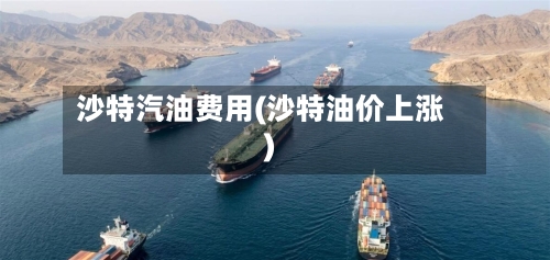 沙特汽油费用(沙特油价上涨)